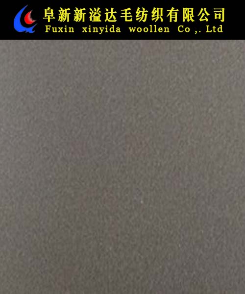 FX08029-4004