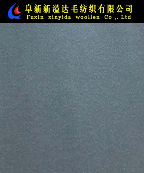 FX08029-6010