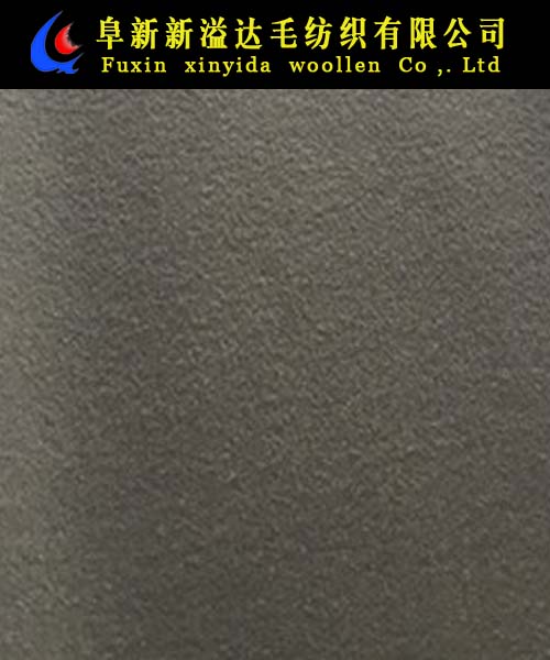 FX08029-6013
