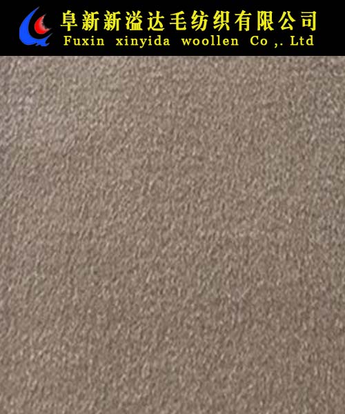 FX08029-6017