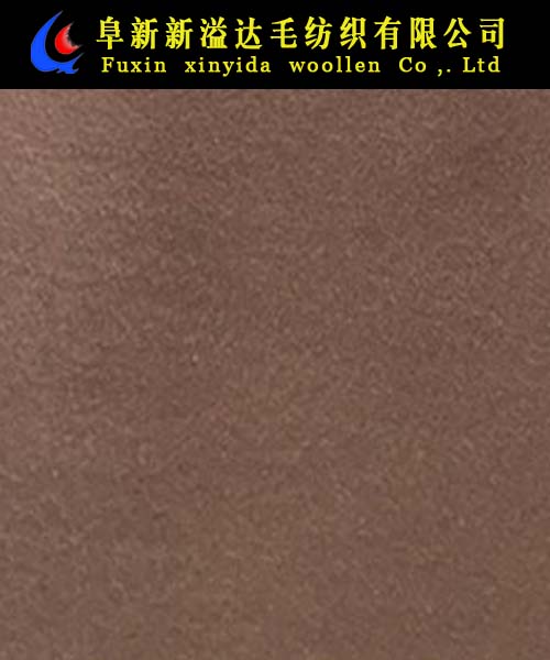 FX08008-2081