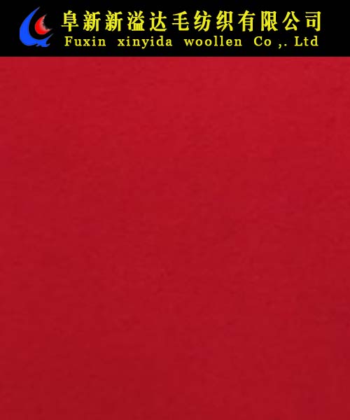 FX08008-5019
